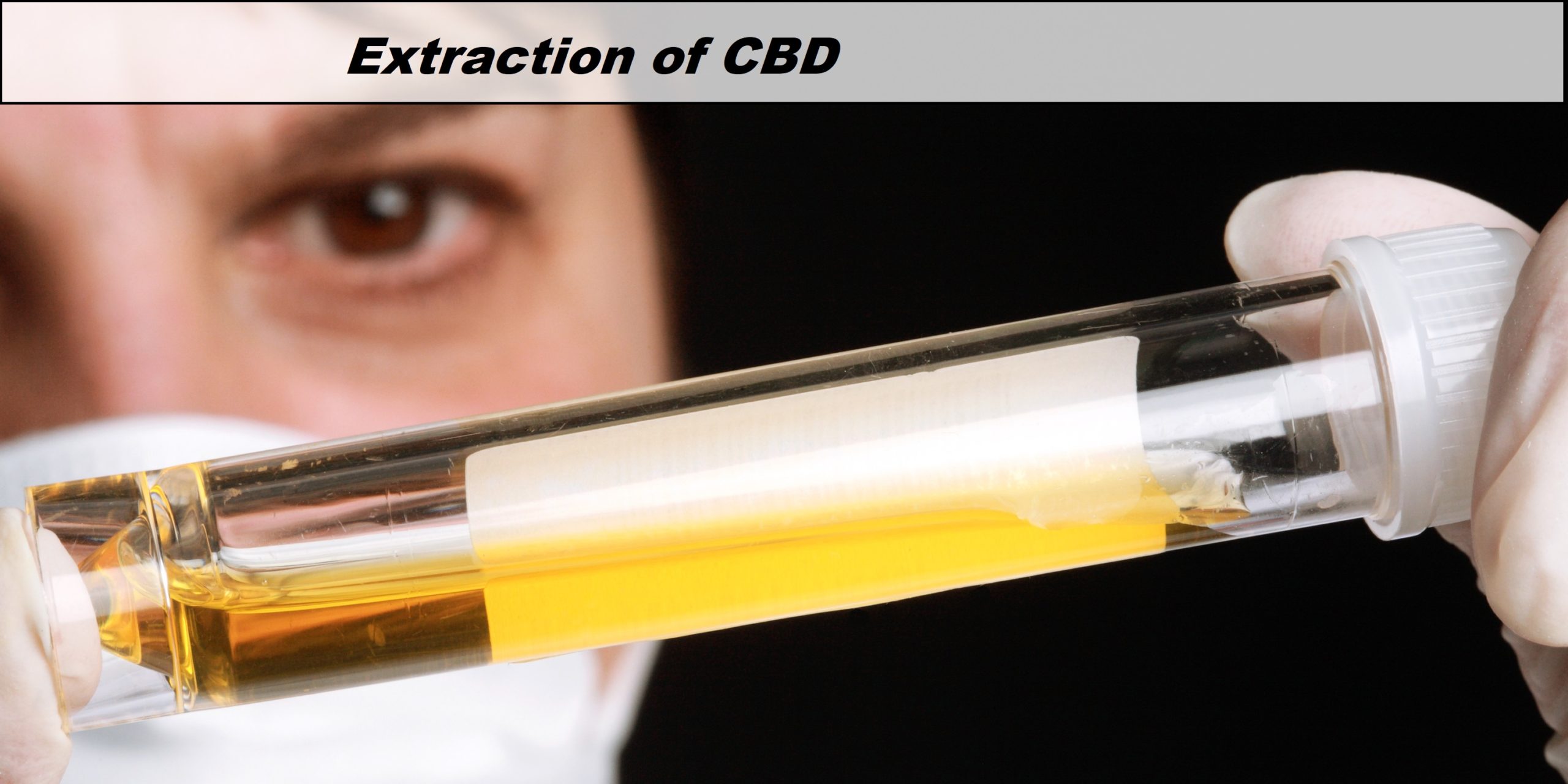 Extraction of CBD
