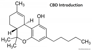 What’s In A Name? CBD Terminology Demystified