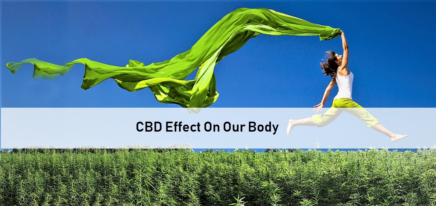 CBD Effect On Our Body
