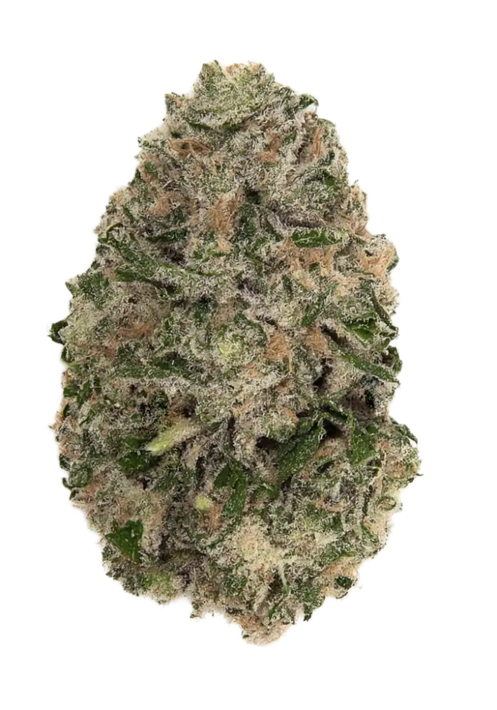 Maple Glaze Exotic THC-A Flower 28g