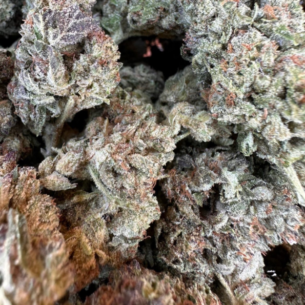 THCA Flower Purple Punch 1/2 lb Blue Moon Hemp Wholesale