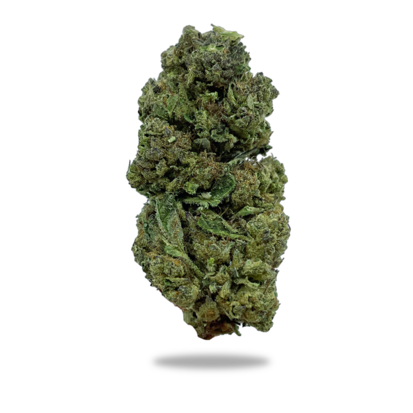 Blueberry Muffin Gram