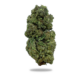 Blueberry Muffin Gram