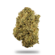 This is an image of Durban Poison THC-A