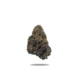 Peanut Butter Exotic THC-A Flower