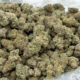 Gelato Cake Bulk THCa Flower