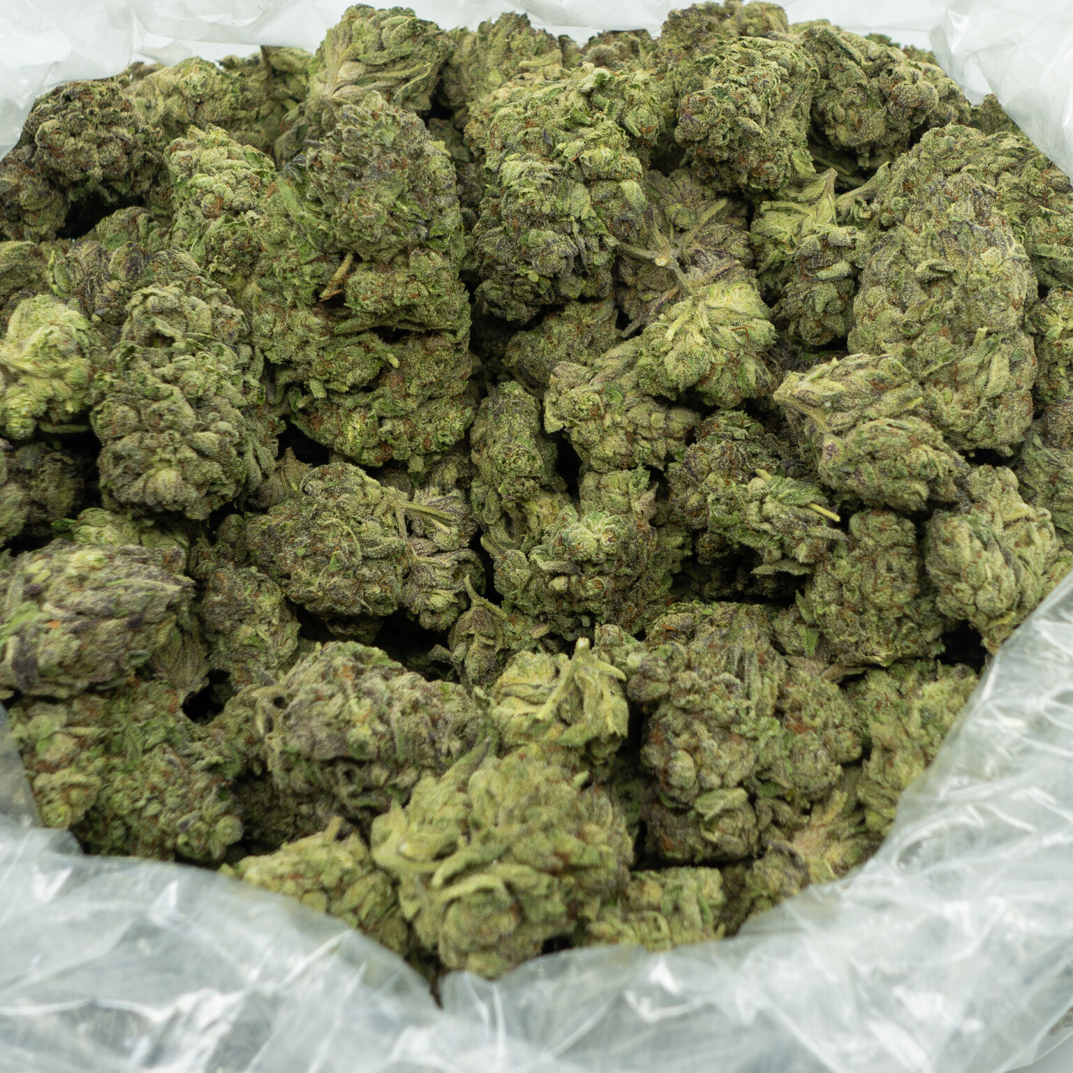 THCA Flower Ice Cream Cake (Select) 1lbs Blue Moon Hemp Wholesale