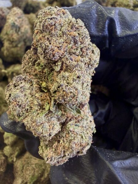 Tokyo Sunset Exotic THC-A Flower