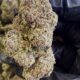 Tokyo Sunset Exotic THC-A Flower