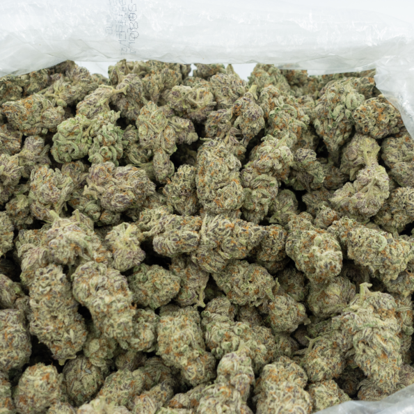 Maui Wowie Bulk THCa Flower