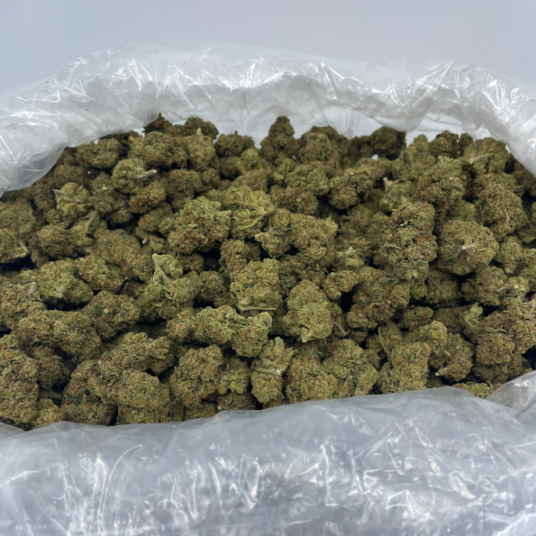 SWEET BUDZ Bulk
