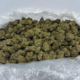 SWEET BUDZ Bulk