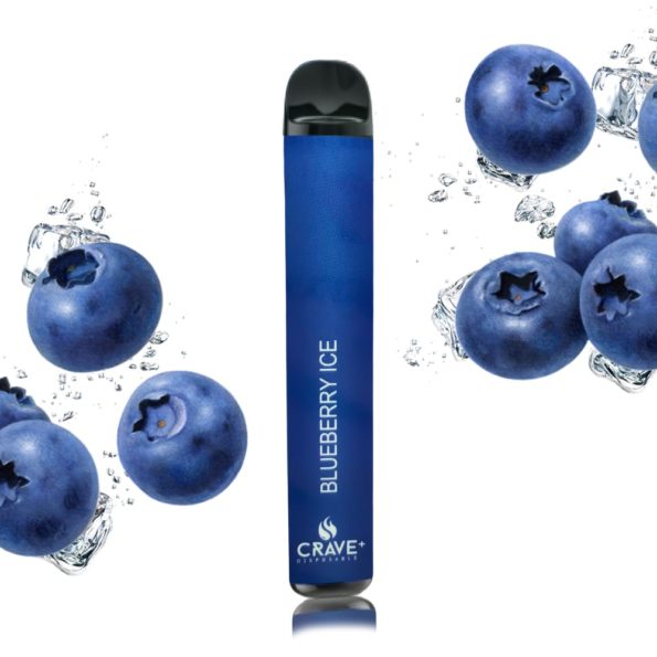 blueberry-ice-crave
