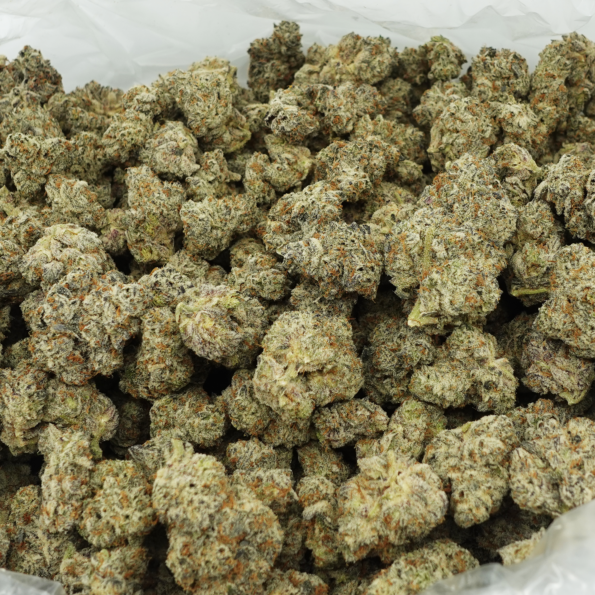 devils mistress bulk flower